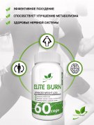 Заказать NaturalSupp Elite Burn 60 капс