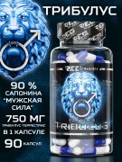 Заказать Reg Pharm Tribulus 90 капс